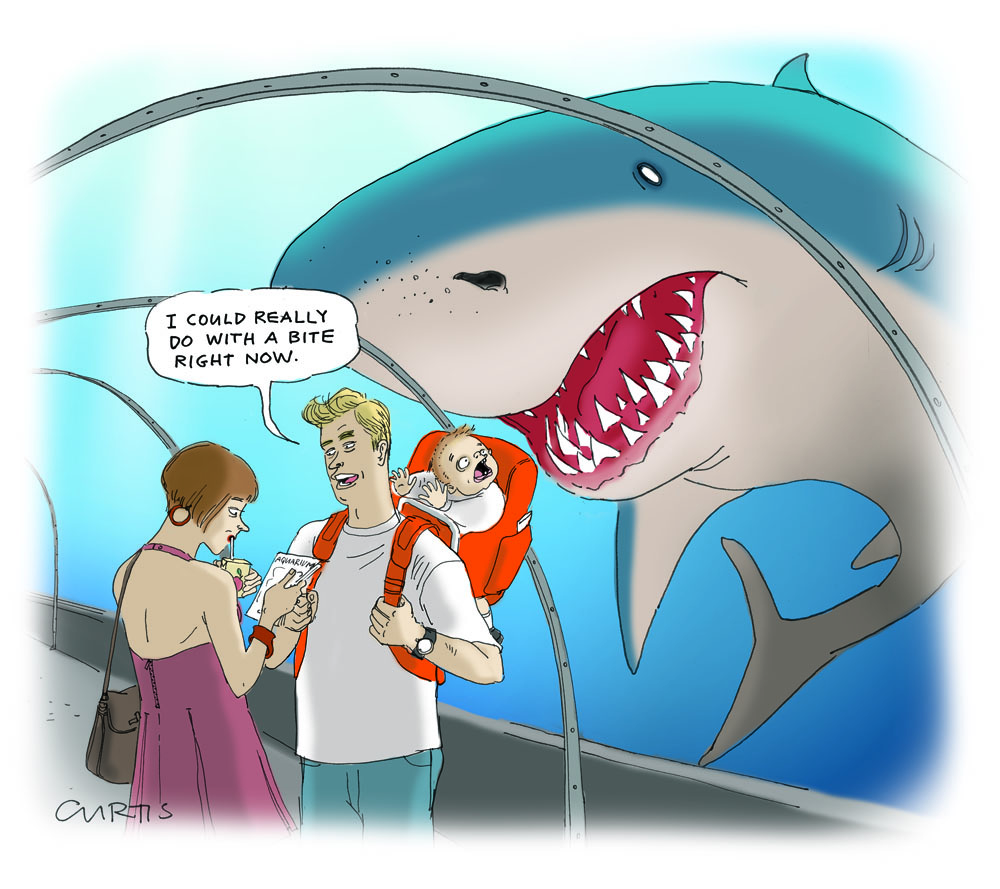 man-eating shark cartoon | cluestolife
